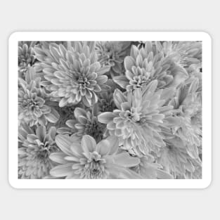 Black & White Floral Pattern Photo Sticker